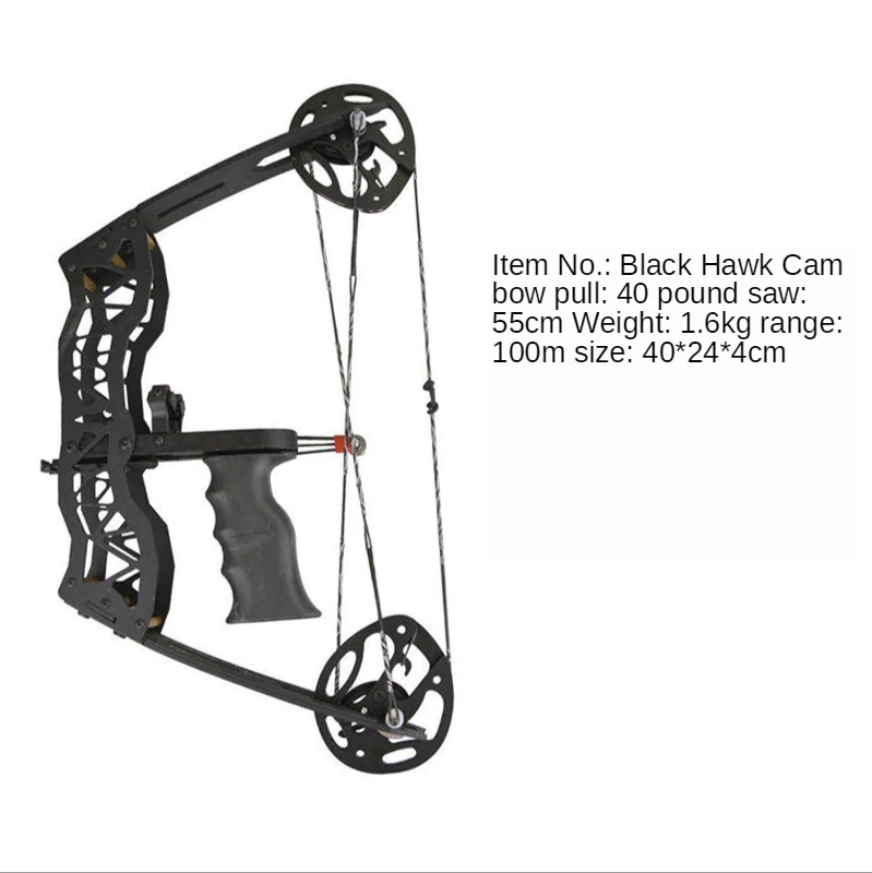 

Archery Compound Bow Compound Pulley Bow and Arrow Outdoor Hunting Fish Shooting Archery 40 Pounds with Arrow Sight