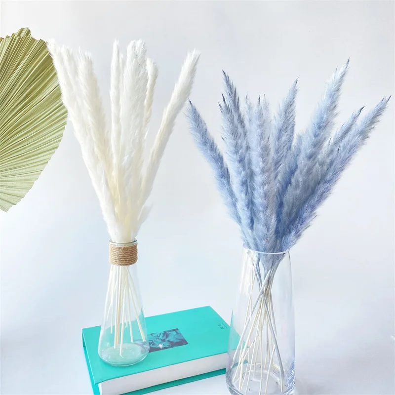 

15PCS Gray Bulrush Natural Dried Small Pampas Grass White Wedding Decoration Dried Flower Bouquet Party Home Decor Free Shipping