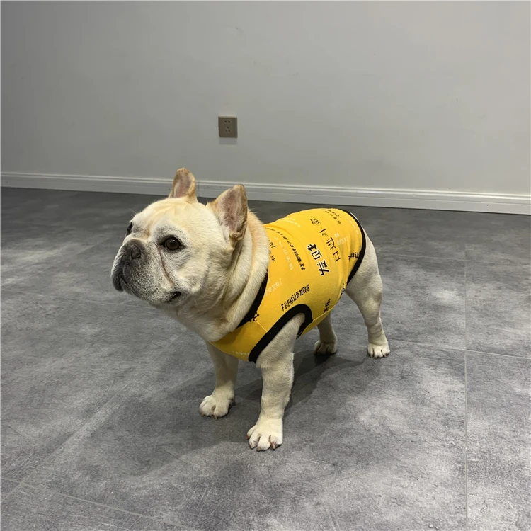 

Yellow Warm Pet Costume Kitten Clothes Suit Summer Soft Fashion Dog Sweater Cat Costume Ropa Para Mascotas Dog Supplies JJ60GWY