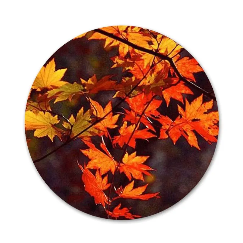 58mm Autumn fall Maple Leaves Kitchen Home Decor Refrigerator Magnetic Stickers Opener Beer Coke | Дом и сад