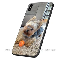 Black tpu case for iphone 2020 plus pro MAX silicon cover yorkshire terrier dog puppy