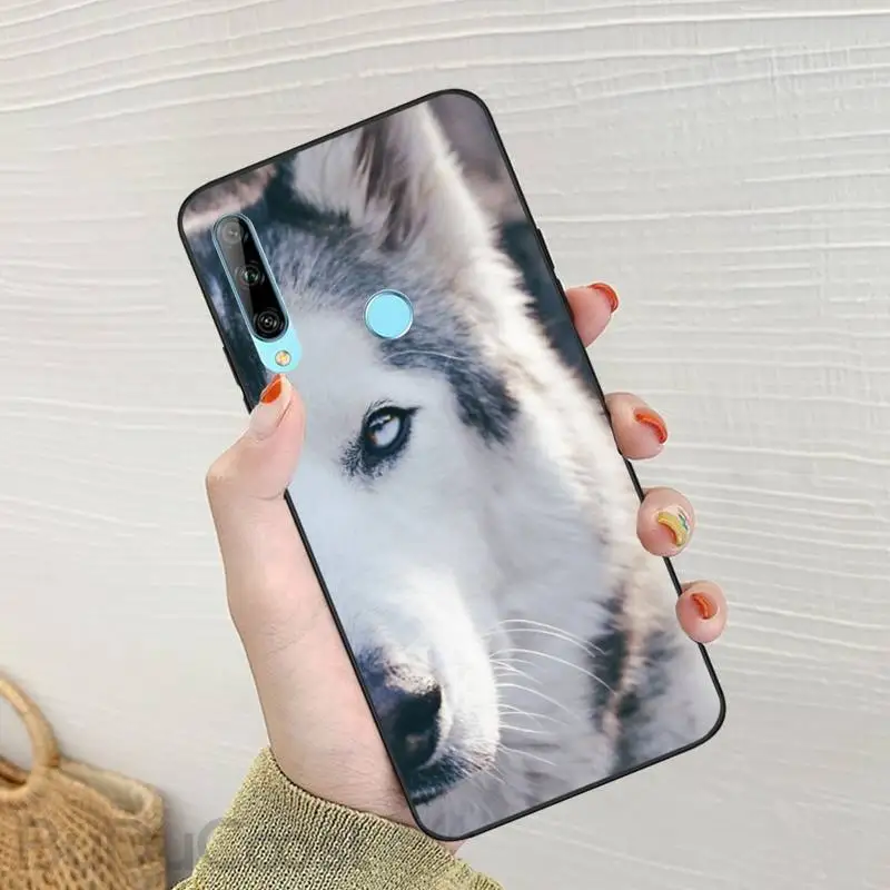 

Husky cute Black TPU Soft Phone Case For Huawei Enjoy 7S 8 9E 7 8 9 10plus NOVA 6-5G 7 Pro se