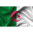 Флаг Алжира 90*150 см, 100D полиэстер, высокое качество, цифровая печать, индивидуальный флаг на продажу