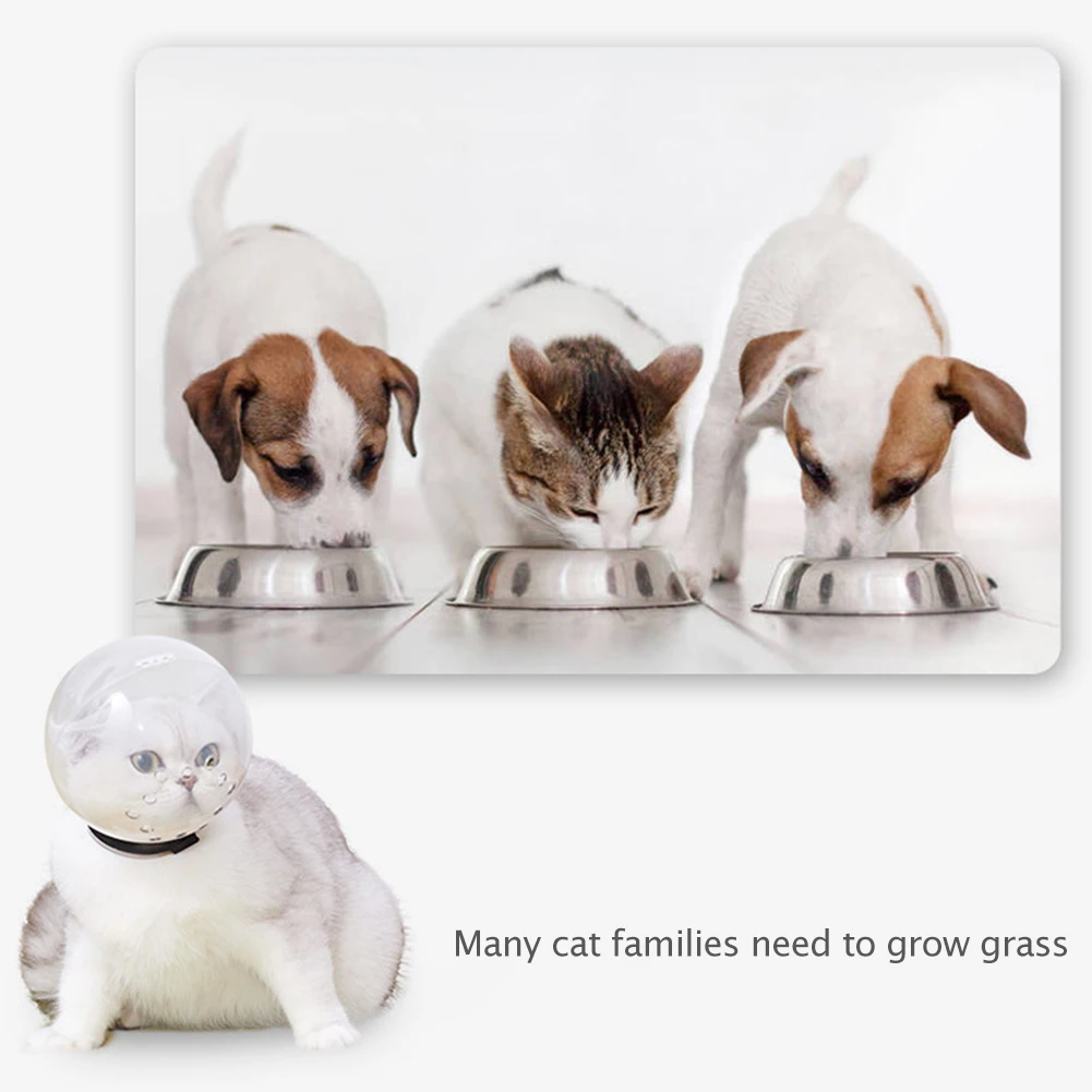 

Breathable Cat Muzzle Anti-Bite Grooming Mask Anti-Licking Protective Space Hood Mask Cover Muzzle Cat Bath Grooming Supplies