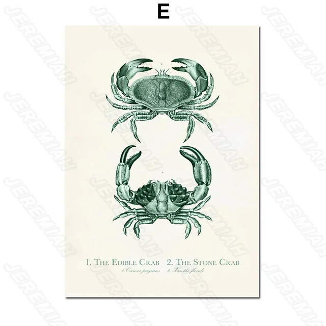 

Underwater Animals Seahorse Whale Poster Nordic Style Canvas Canvas Print Painting Modern Living Room Bedroom Wall Stickers