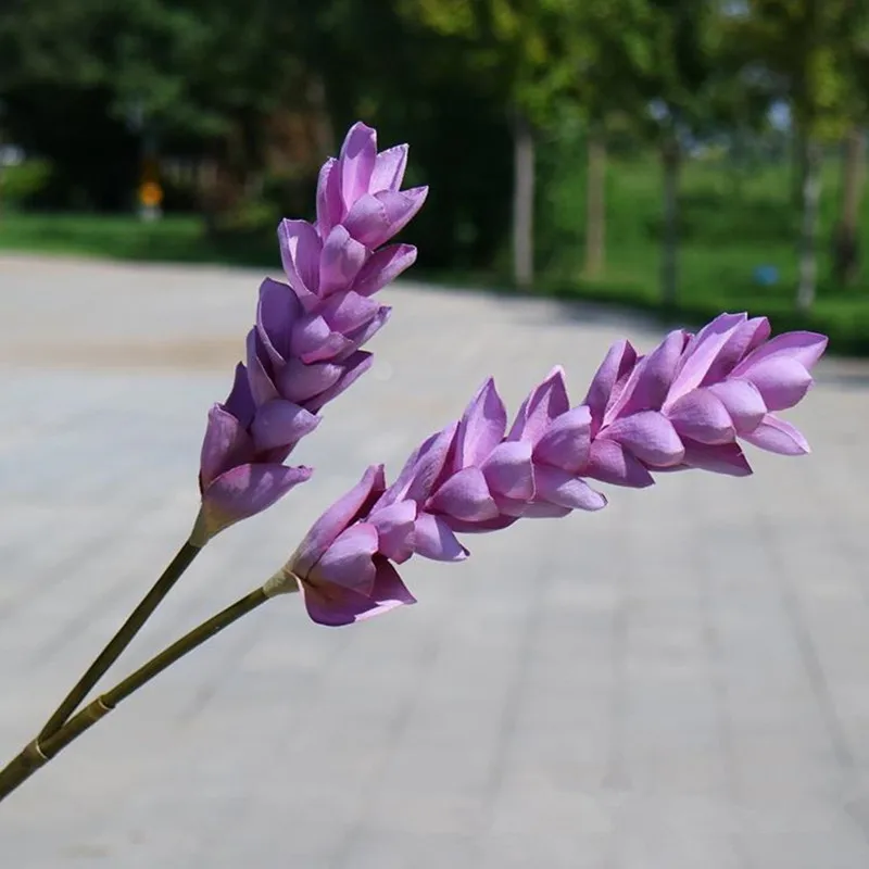 

7Pcs Fake Long Sten Ginger Flower (2 heads/piece) 35.83" Length Simulation Gingers for Home Decorative Artificial Flowers