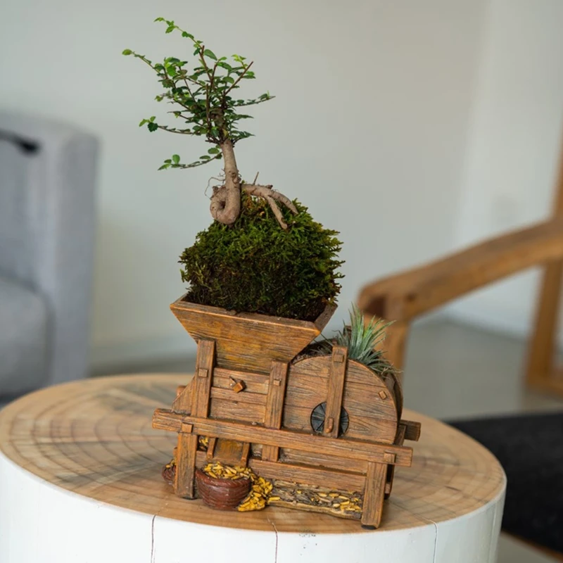 

Многофункциональное украшение ручной работы из смолы для хранения, подходит для гостиной, спальни, кабинета, офиса, изысканная изящность