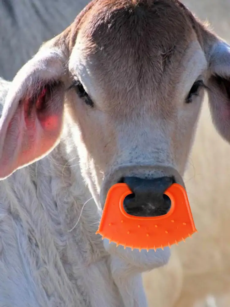 Носа коровы Weaner до середины икры крупного рогатого скота зажим для носа Пластик