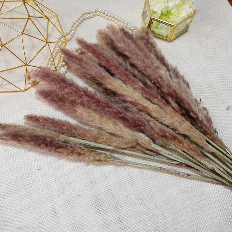 

15Pcs Dried Natural Flowers Pampas Grass Fiori Secchi Reed Phragmites Plants Bouquet for Wedding Party Home Table Decoration