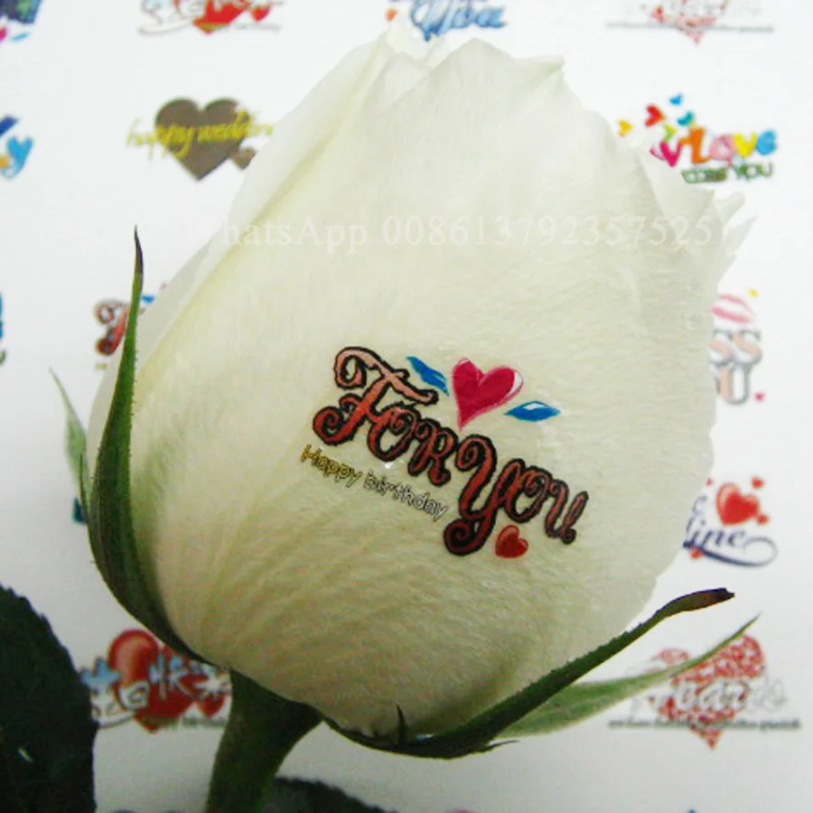 

5 ногтей печать все в одном принтер для ногтей машина со встроенным компьютером и экранным цифровым принтером для ногтей и цветов