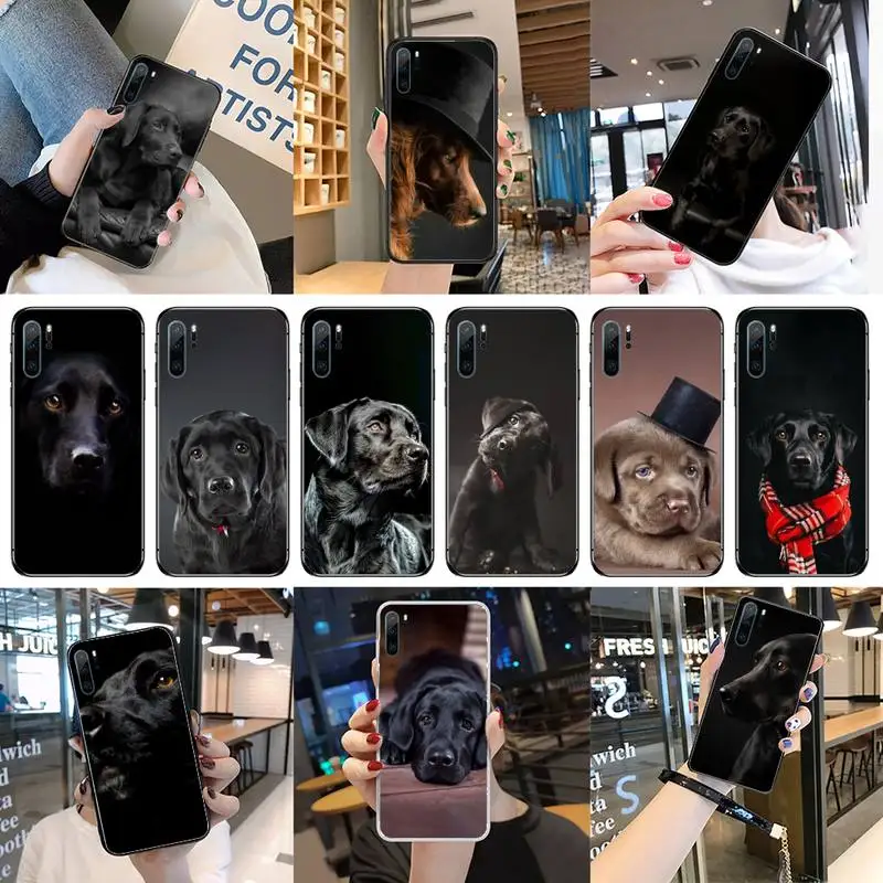 Чехол для телефона Huawei P40 P20 P30 Mate 40 20 10 Lite Pro Nova 5t P Smart 2019 с грустной собакой