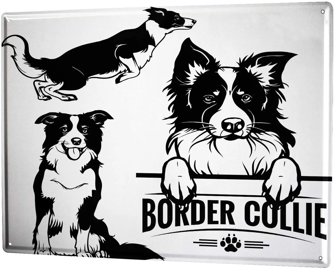 

SINCE 2004 Metal Plate Dogs Breed Border Collie Drawing
