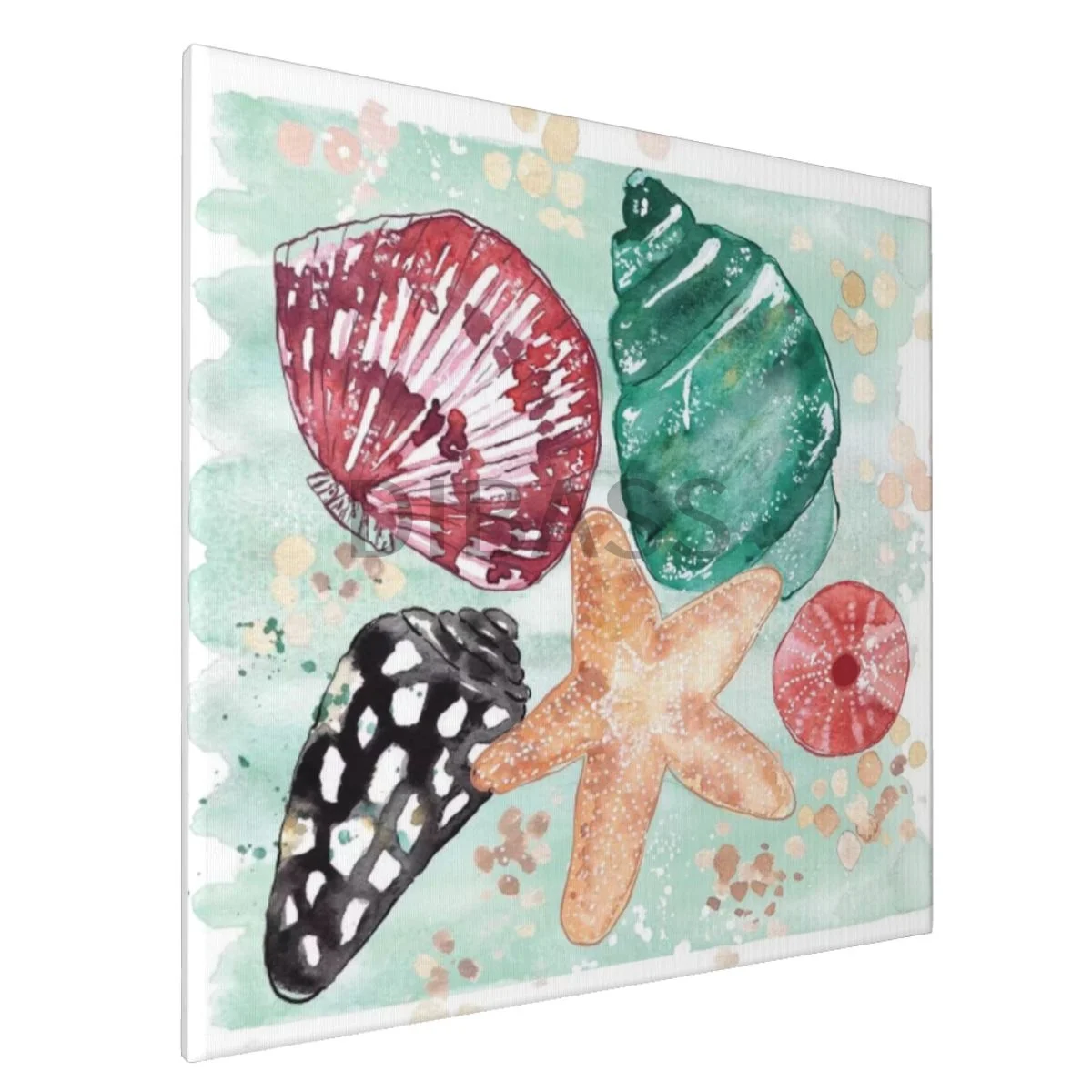 

Beachcomber - Shells Medley - Canvas Print With Framed Wall Art Painting Home Decor for Living Room,Bedroom