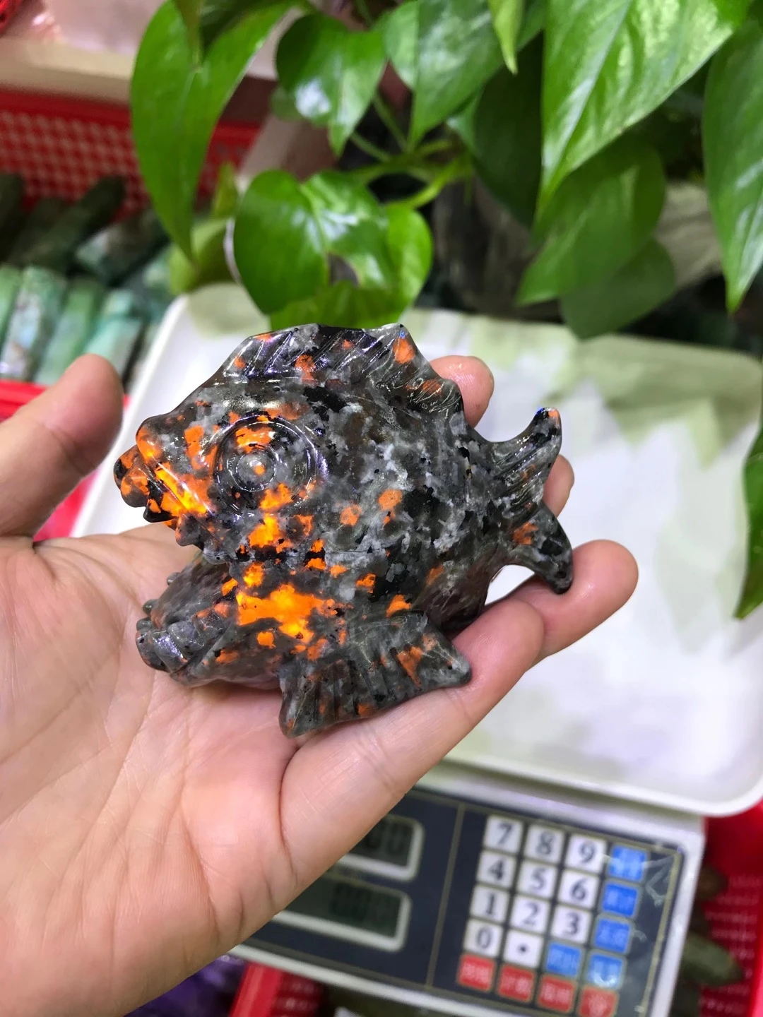 

High Quality Natural The Flame's Stone Piranha Hand-Carved Crystal Healing Stone DIY Home Decoration LU