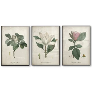 Картина с изображением цветов магнолии, набор для художественный постер картина, винтажный постер под старину