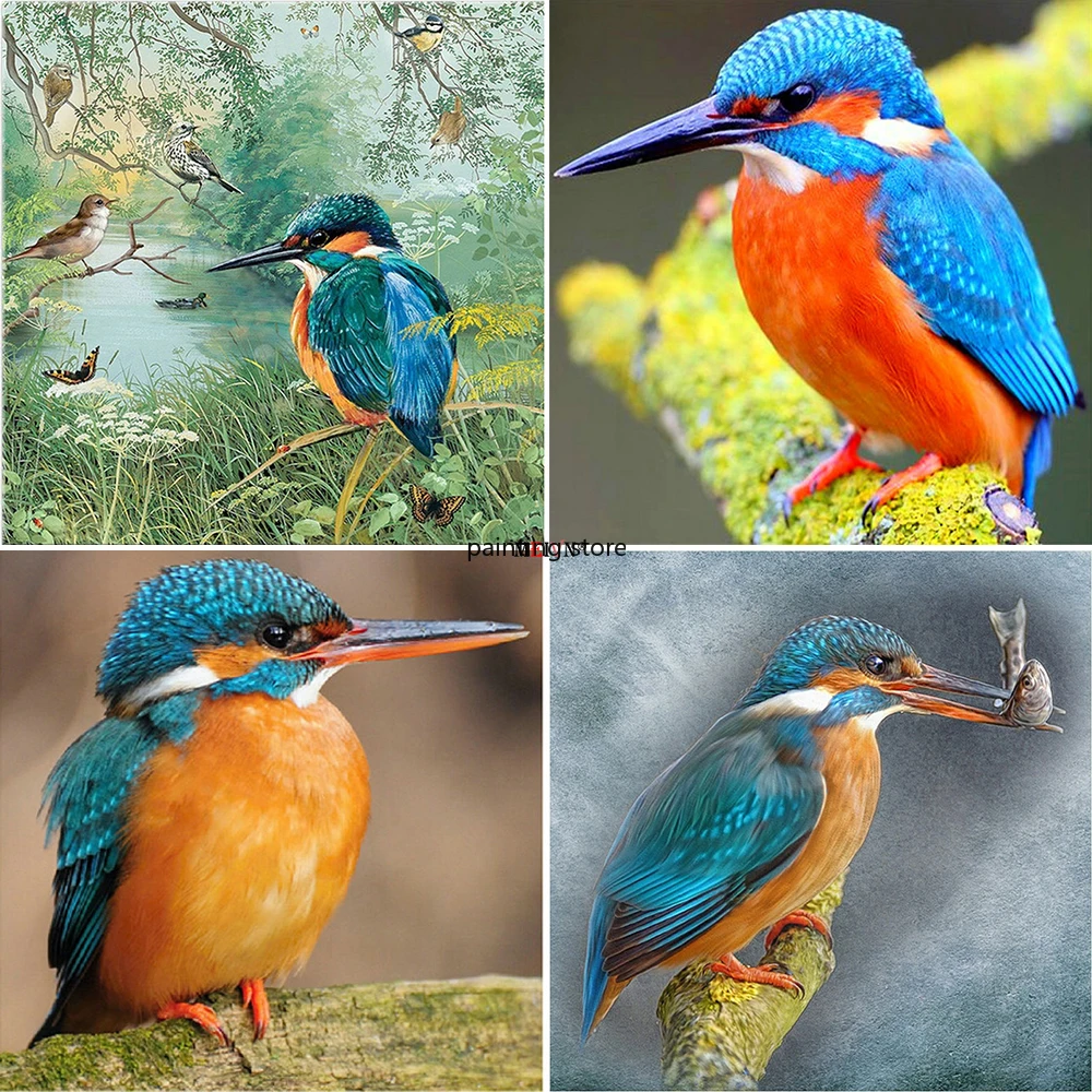 5D DIY Diamond Painting Birds Full Square Embroidery Animal Cute Kingfisher Mosaic Pictures Cross Stitch Kits Craft Gift | Дом и сад