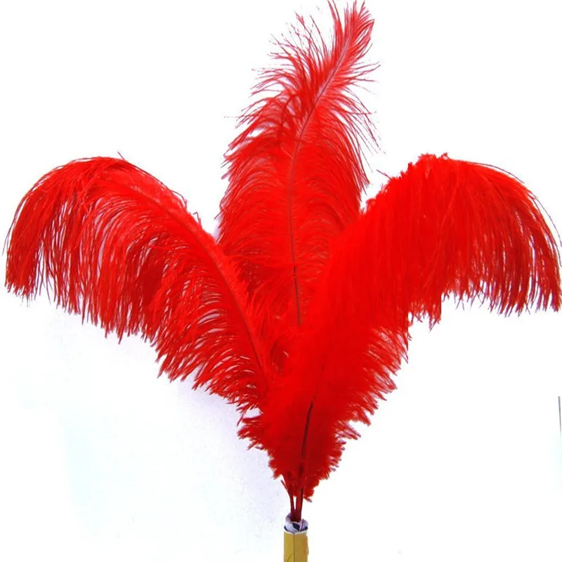 50Pcs/Lot Red Ostrich Feathers for Crafts 15-70cm Feather Plumes Jewelry Making Wedding Decoration | Дом и сад