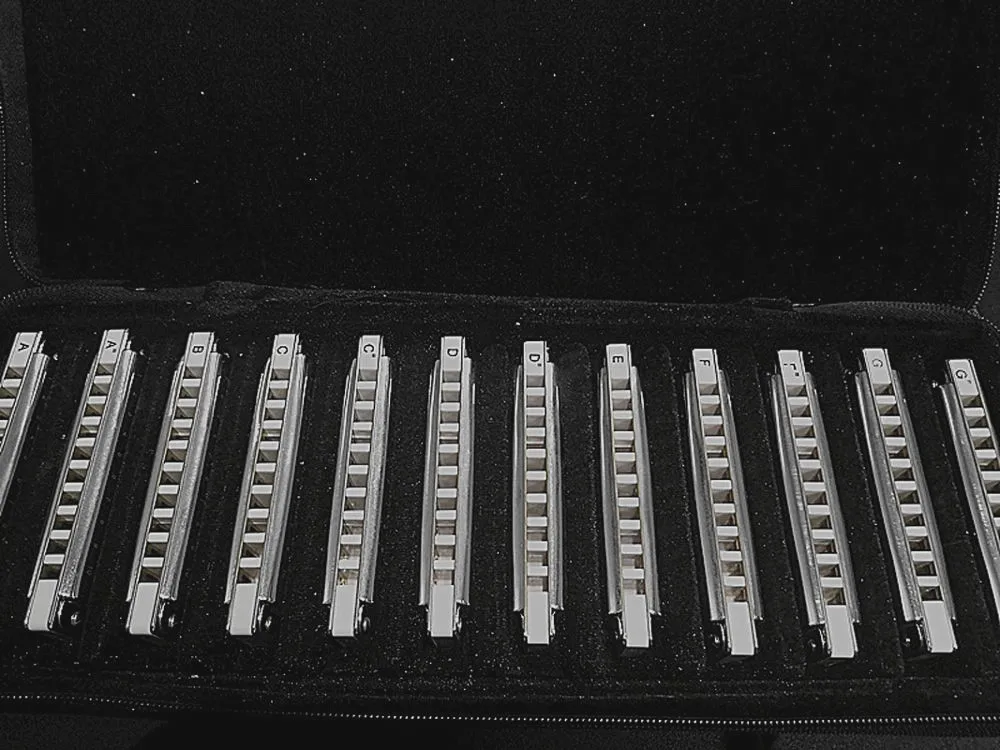 Чехол EASTTOP для 10 отверстий гармоника 12 шт. в упаковке|Губная гармошка| |