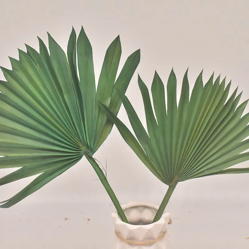 

Natural Dried Flower Home Wedding Decoration Easter Palm Leaf Arrangement Hanging Wall Decor DIY Reception Party Photographic P