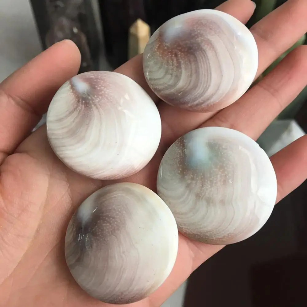 Натуральная Солнечная раковина ископаемый образец кристалл любовь сердце рейки