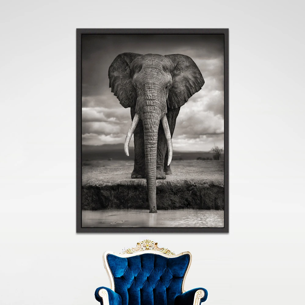 Современный скандинавский Африканский высокий слон черно белый животный