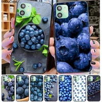 Blueberry fruit Phone Case For iPhone Case For iPhone Pro Max MAX Plus Case