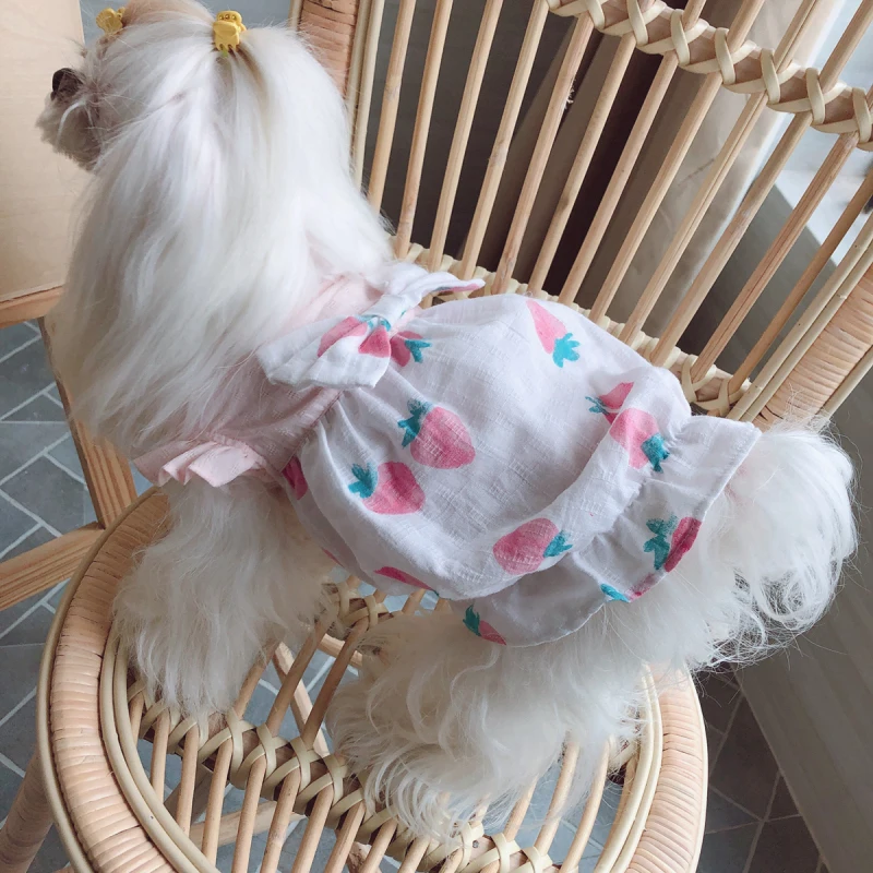 Одежда для маленьких собак одежда костюм чихуахуа йоркширского терьера Pomeranian