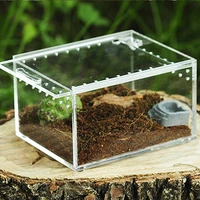 transparent reptile breeding box acrylic sliding cover type feeding box