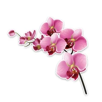 car stickers interesting orchid decor high quality waterproof sun protection motorcycle decoration personalize13cm13cm