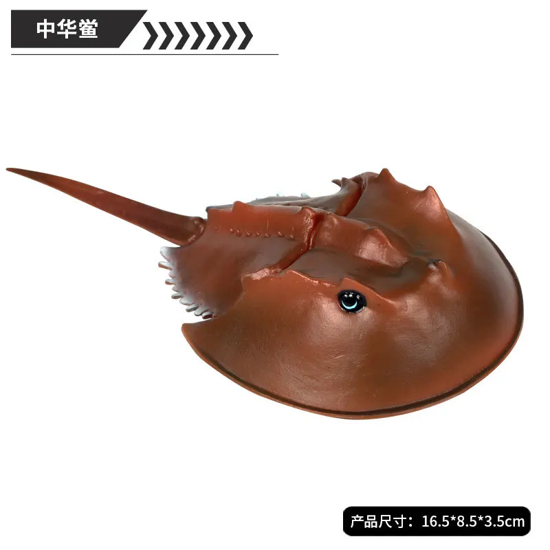 Подкова Краб фигурки животных коллекционные игрушки морские животные