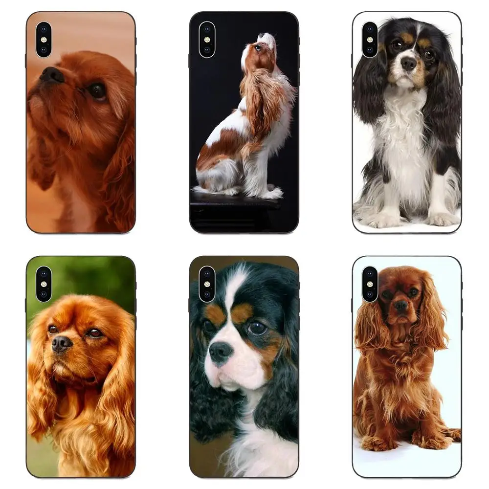 Кавалер King Charles Spaniel Щенки собак для Huawei Mate 9 10 20 P8 P9 P10 P20 P30 Lite Mini Play Pro P smart Plus Z 2017