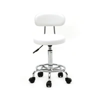 %e3%80%90usa ready stock%e3%80%91round shape adjustable salon stool with back and line white in office