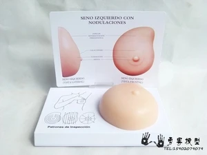 Патологическая Модель груди, модель для самоосмотра груди, мягкий материал из силикона, модель для планирования семьи, модель для обучения в офисе