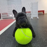 24cm giant tennis ball for dog chew toy pet dog interactive toys big inflatable tennis ball pet supplies outdoor cricket dog toy