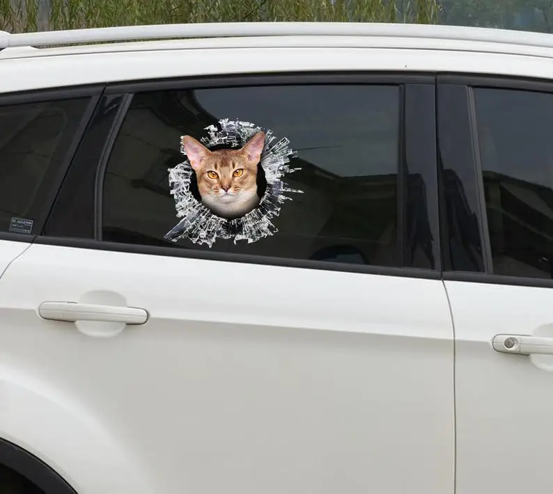 

2021 Abyssinian cat window sticker, Abyssinian cat window decal, cat window sticker