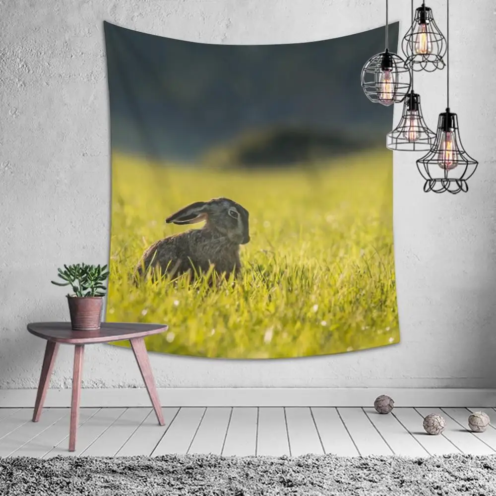 

Tapestry Stay Cute Zebra Cute Rabbit Pattern Personality Wall Hanging Beach Mat Bed Cover Bedroom Living Room Home Decoration