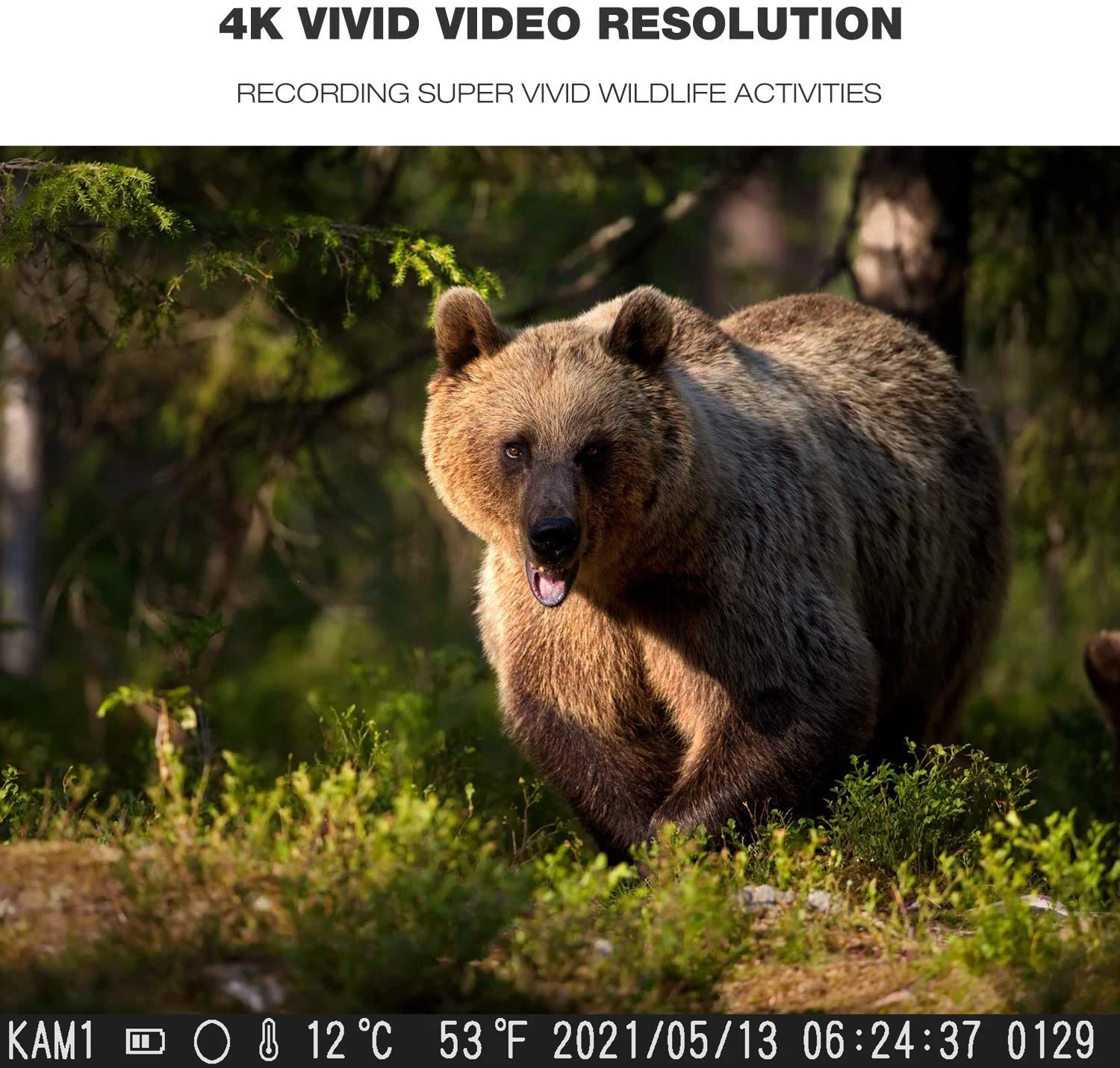 4K видео прямой трансляции охотничья тропа 30 Мп WIFI801PRO приложение Bluetooth управление