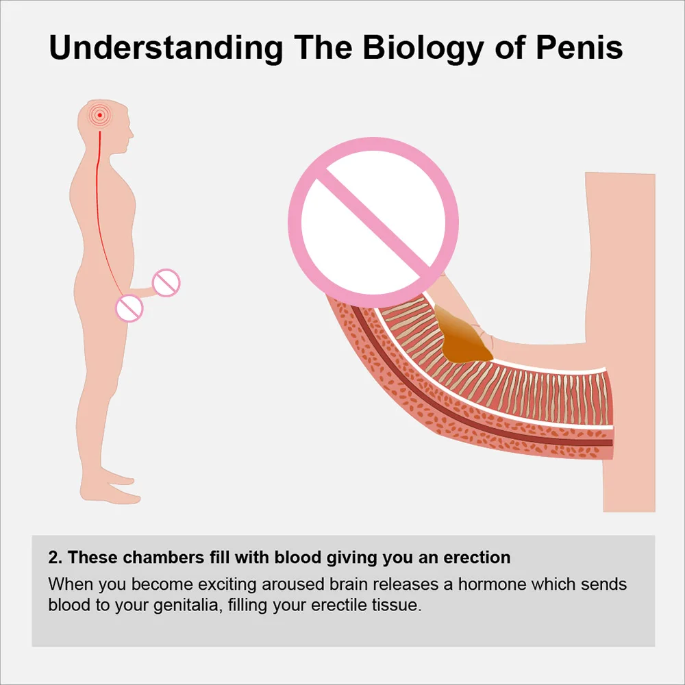 Увеличивающий насос для пениса устройство увеличения удлинитель вакуумный