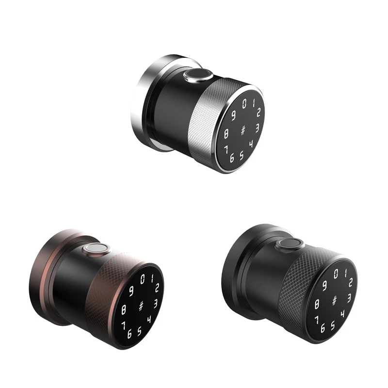 TTlock wifi приложение Bluetooth дверные замки отпечатков пальцев IC карты цифровой