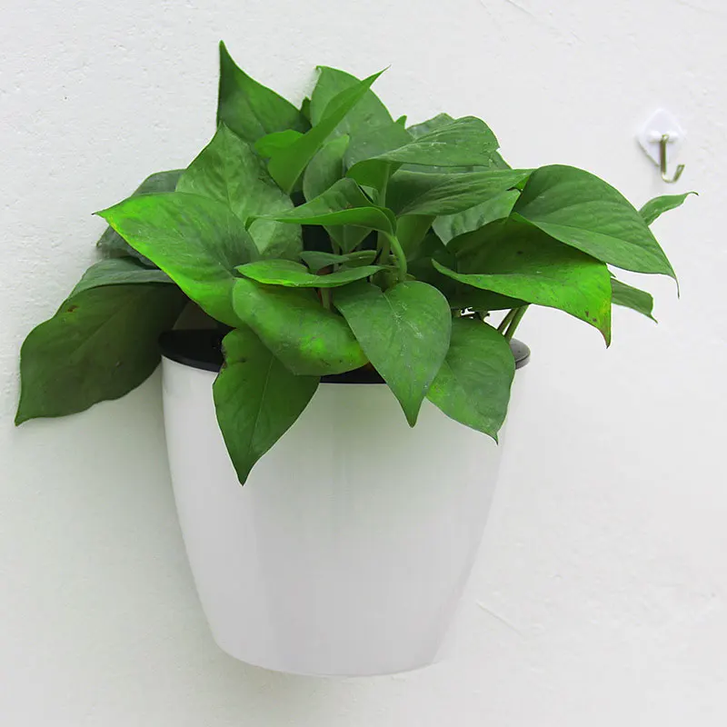 Автоматический самополивающийся настенный держатель SOLEDI для растений