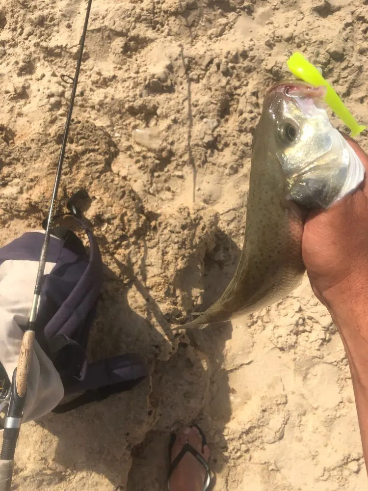 Рыболовная приманка hunhouse Мягкая черного цвета для рыбалки легкий Шинер lw216 135/155