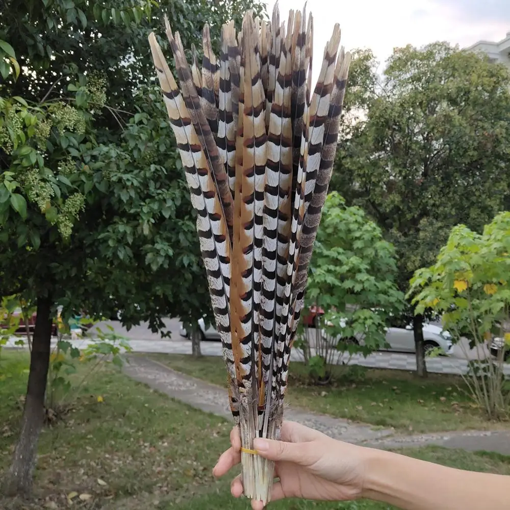 10 шт. декоративные медные перья для цыплят 24 26 дюймов|Перо| |