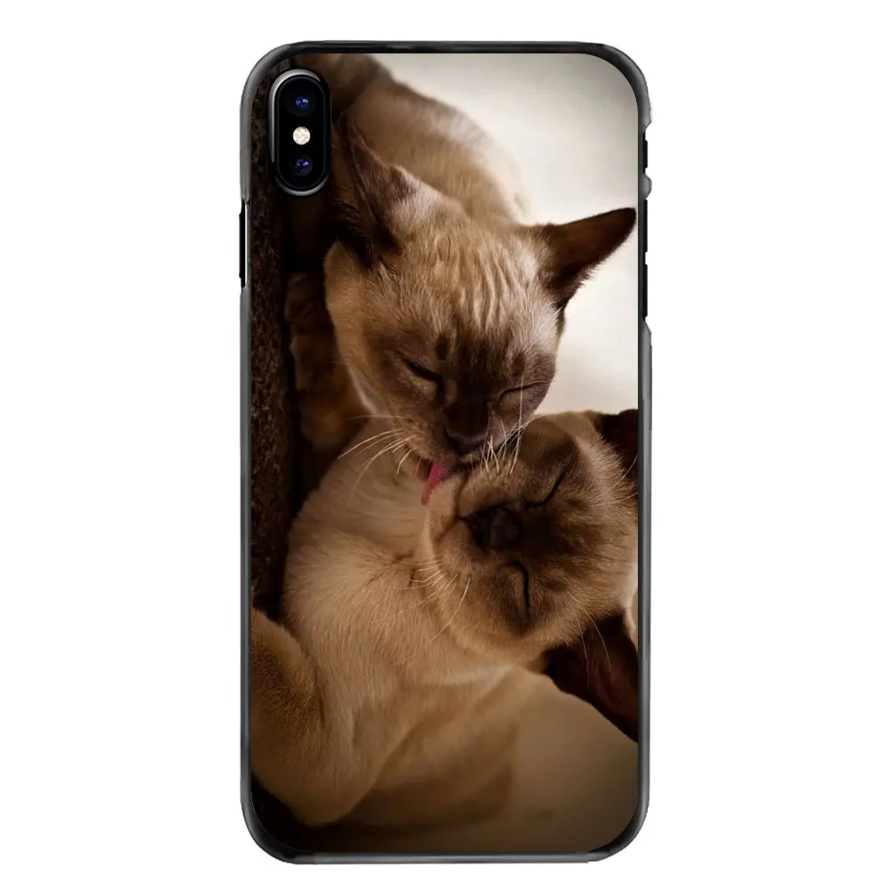 Blue Point The Traditional Siamese Cat For Samsung Galaxy A3 A5 A7 A8 J1 J2 J3 J5 J7 Prime 2015 2016 2017 Accessories Case Cover |