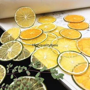 10pcs dried pressed fruit green skin orange slices plant herbarium for jewelry photo frame phone case craft diy making accessory free global shipping