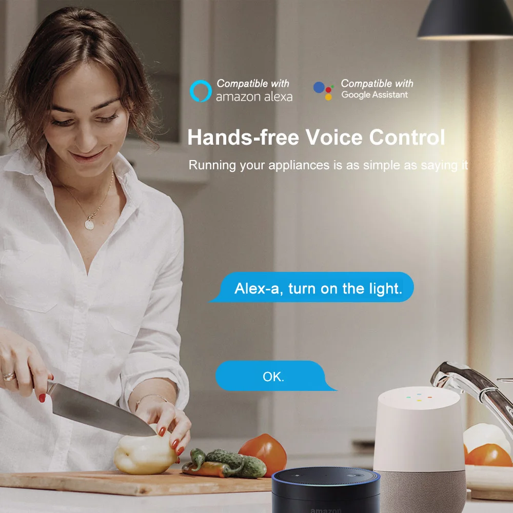 

Sonoff IW100/IW101, Wi-Fi Alexa Google Home