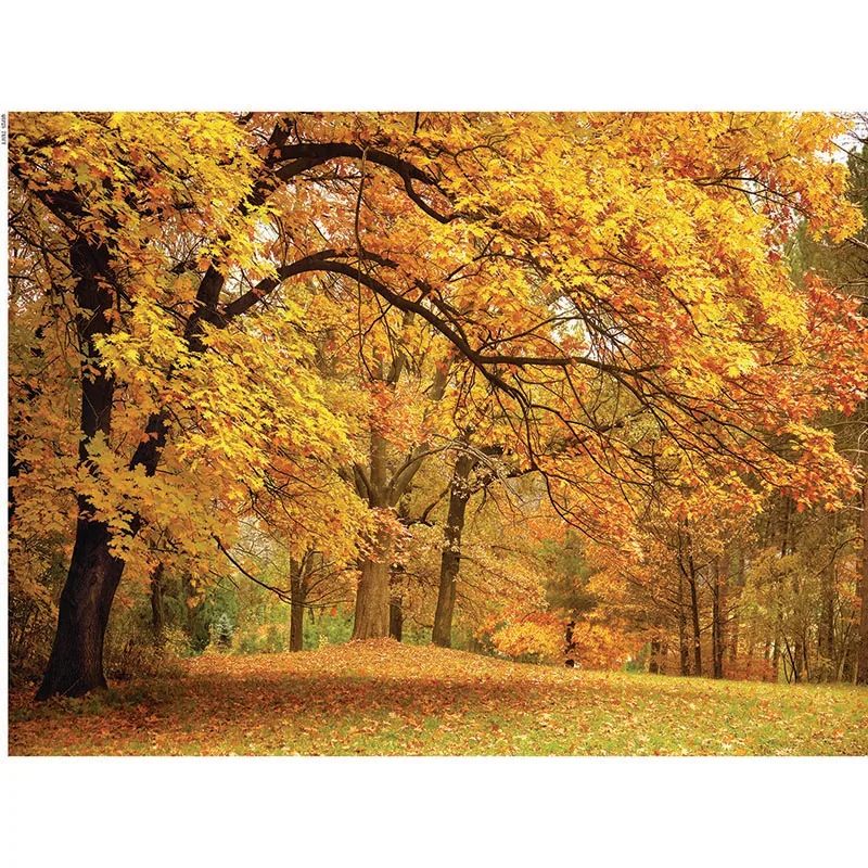 

ZHISUXI Vinyl Photography Backdrops Prop Christmas and scenery Photography Background 200621HU-001