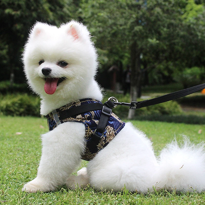 Нагрудный ошейник для собак с рисунком дракона набор поводков и дышащие товары