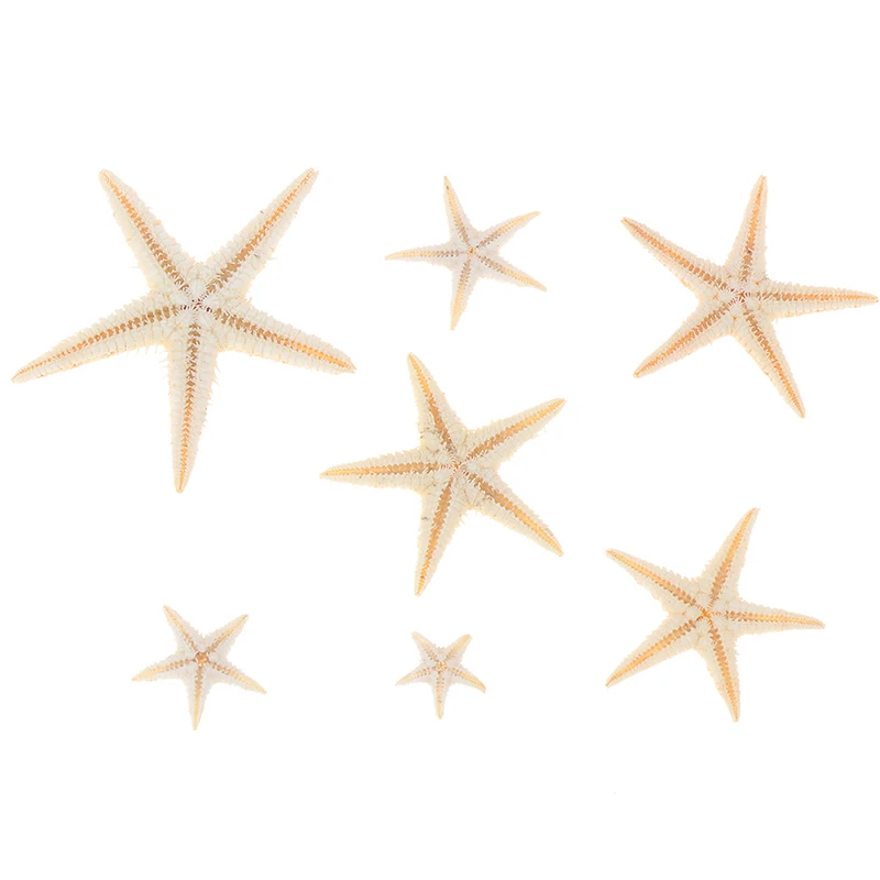 20/40/50/100pcs Sea shells Mini Starfish Craft Decoration Natural Stars DIY Beach Cottage Wedding Decor crafts wedding | Дом и сад
