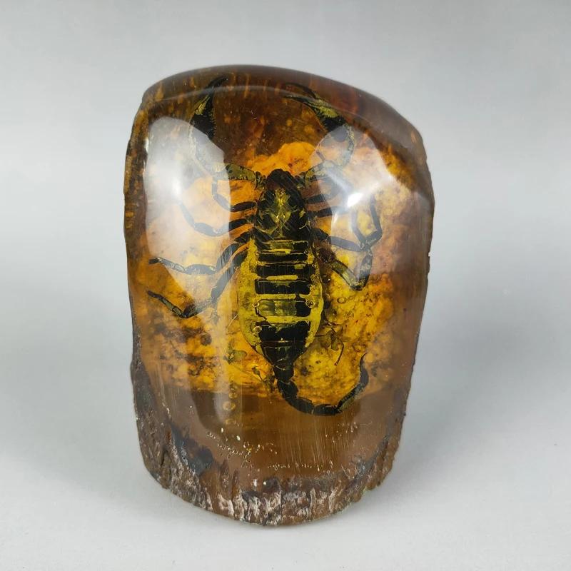 

Elaborate Interesting Rare Chinese Collection Home Decoration Gift Amber Resin Scorpion Statue Craft