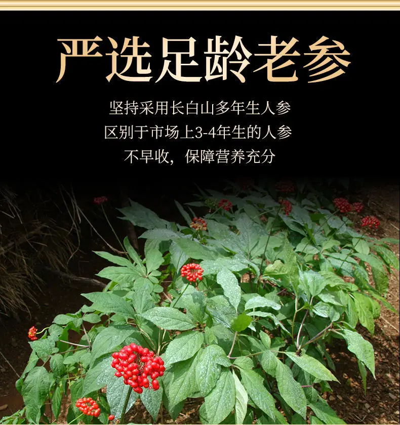 Натуральный сушеный красный женьшень органический препарат для повышения